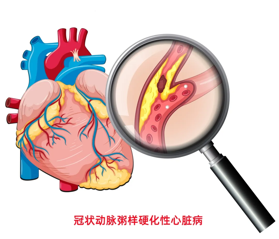 jhk-20347073139.jpg