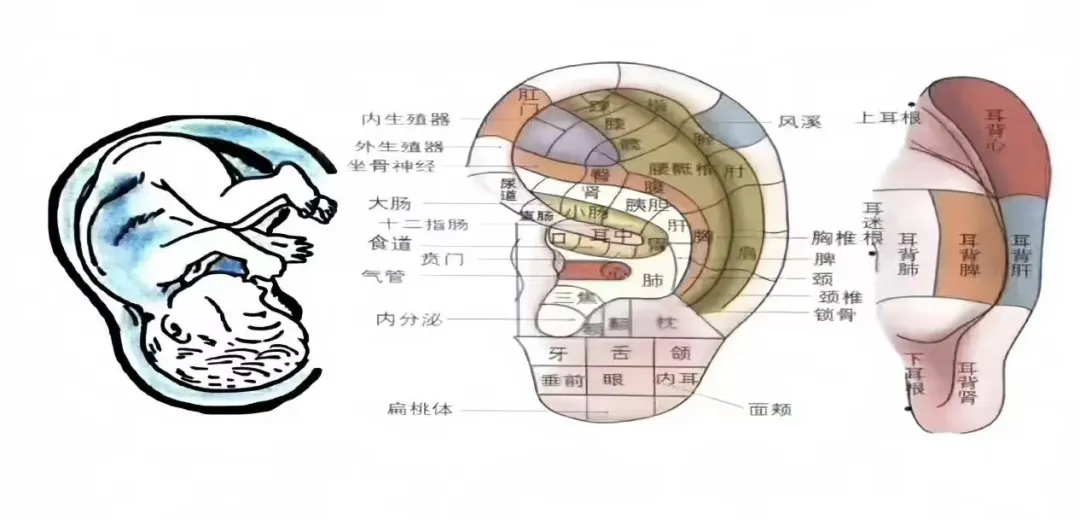 2.webp.png