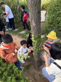 趣玩自然，童享阳光｜把康复课堂搬进大自然