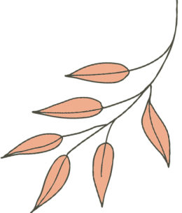 叮！您的夏日饮品已上线，请查收～～