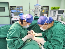 赞！这条“生命通道”打通了！