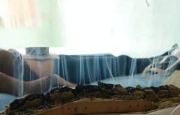 冬季艾灸！哪些人更需要？