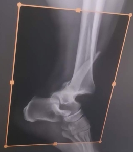 两小时，助力她跑赢未来每一步！