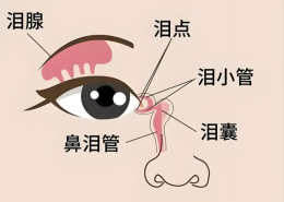 “热泪盈眶”竟与心情无关？！