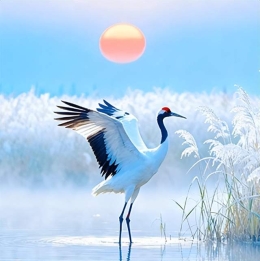 寒露探康复，督导促提升 | 院长行政查房深入康复诊疗中心！